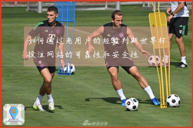 如何通过老用户的经验判断世界杯投注网站的可靠性和安全性