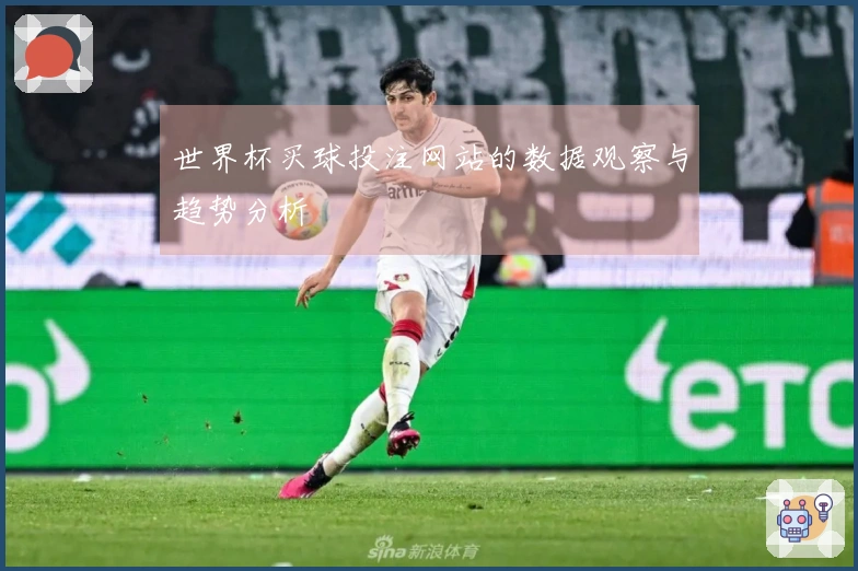 世界杯买球投注网站的数据观察与趋势分析