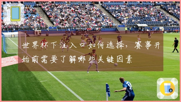 世界杯下注入口如何选择，赛事开始前需要了解哪些关键因素