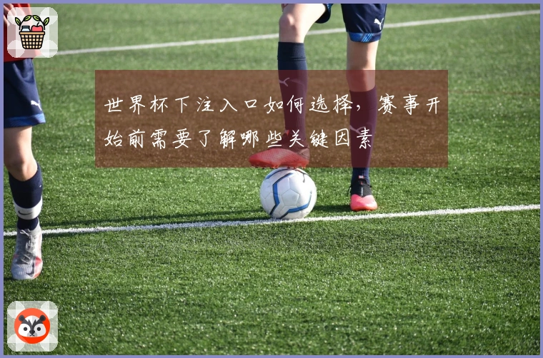 世界杯下注入口如何选择，赛事开始前需要了解哪些关键因素