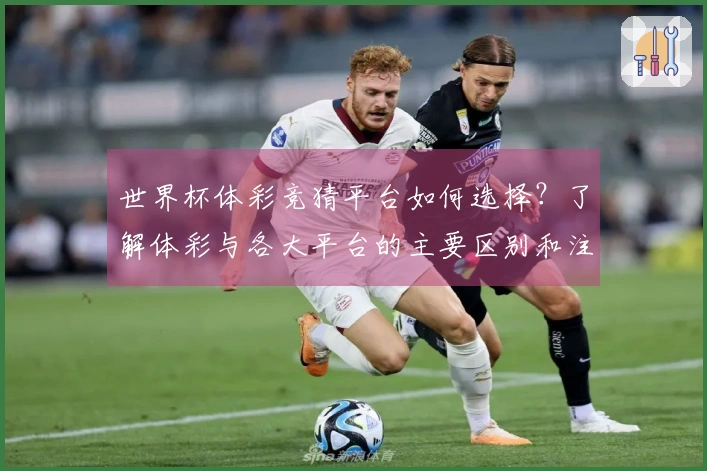 世界杯体彩竞猜平台如何选择？了解体彩与各大平台的主要区别和注意事项