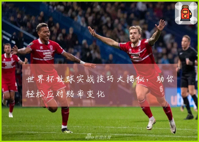 世界杯让球实战技巧大揭秘，助你轻松应对赔率变化