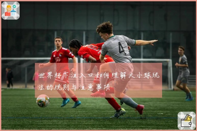 世界杯下注入口如何理解大小球玩法的规则与注意事项