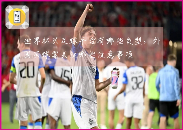世界杯买足球平台有哪些类型，外围买球需关注哪些注意事项