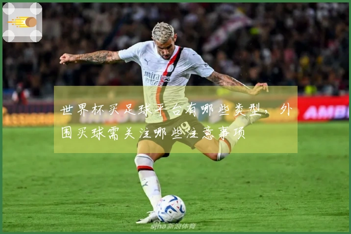 世界杯买足球平台有哪些类型，外围买球需关注哪些注意事项